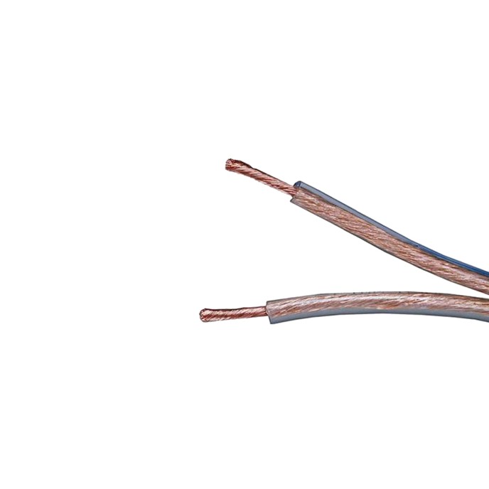 Cable para Altavoz Monster SP16 (1 m)