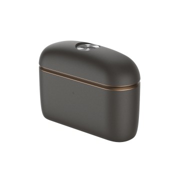 Auriculares Sennheiser MOMENTUM True Wireless 5